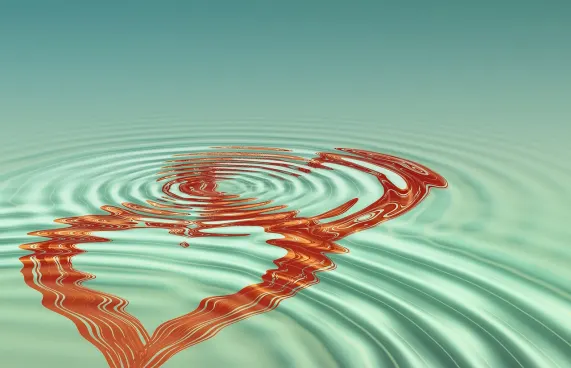 קאסולה קזינו תמיכה